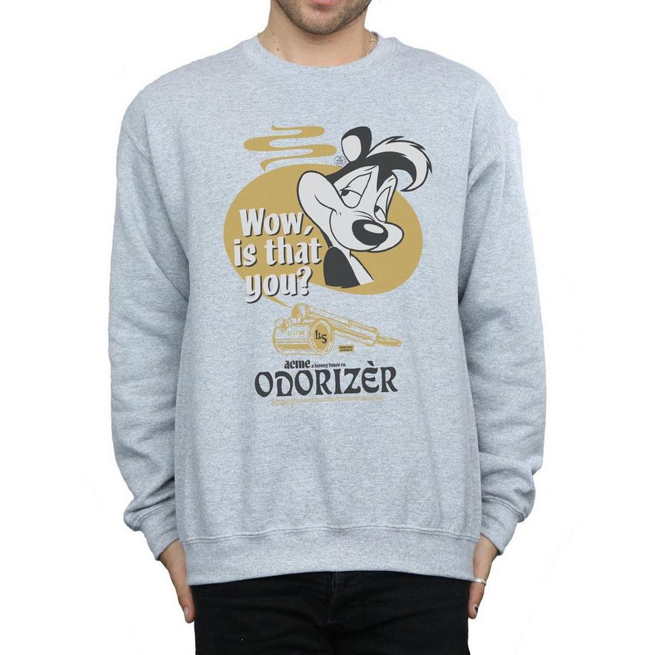 LOONEY TUNES Odorizer Sweatshirt Pepe Le Pew Imprimé Graphique  