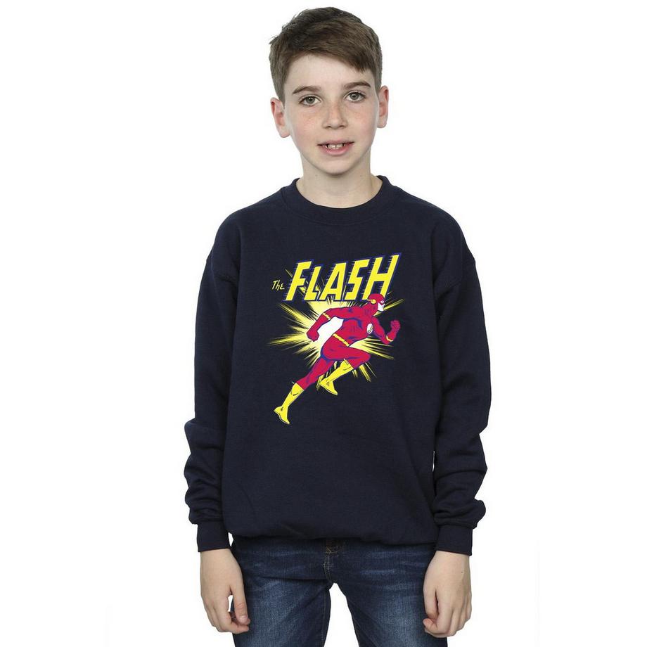 DC COMICS  Sweatshirt 