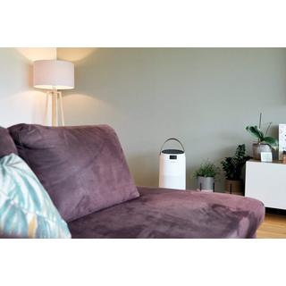ecofort ecoQ CleanAir 400  