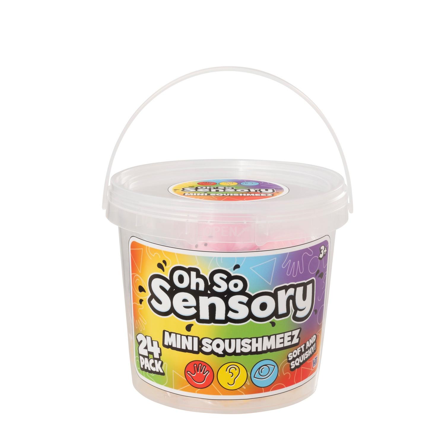 B2X  Mini Squishmeez 24Pcs Dans Un Seau 
