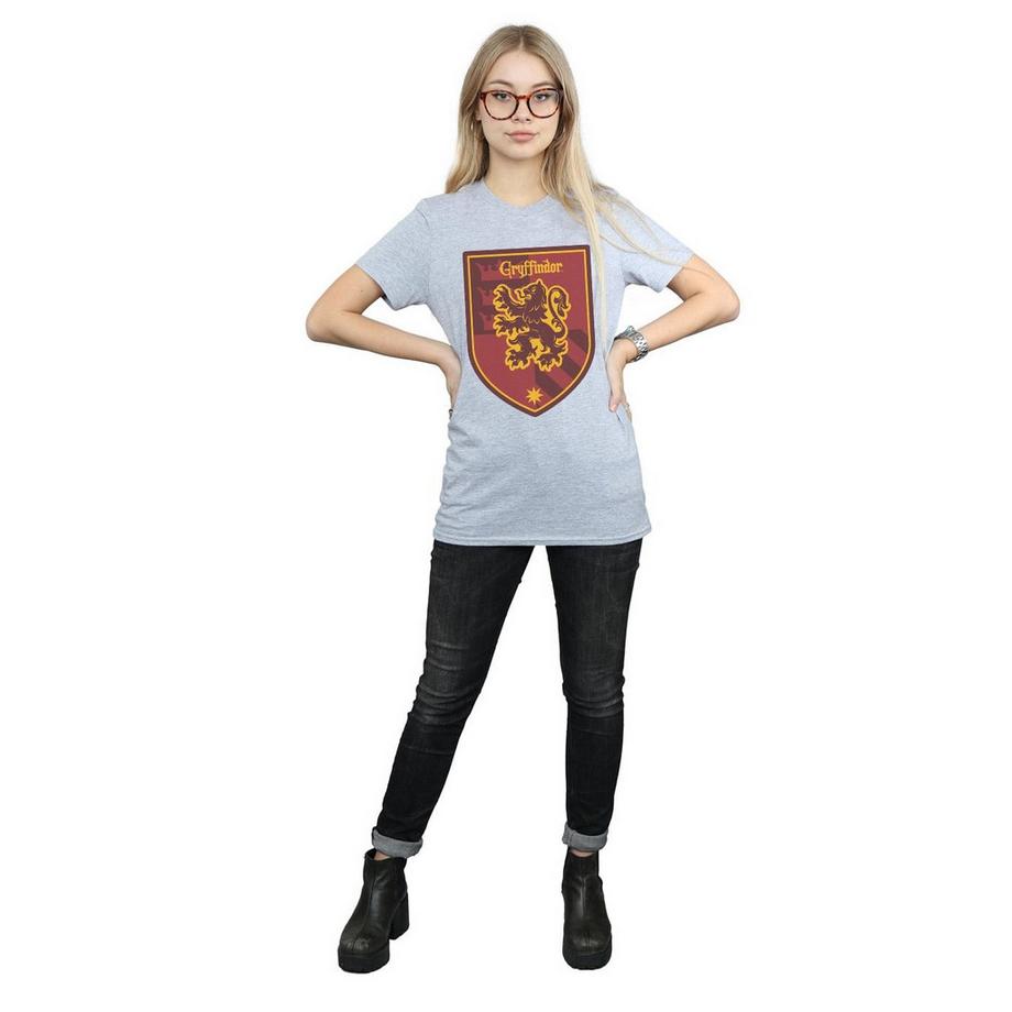 Harry Potter Gryffindor Grafik Print T-Shirt  