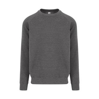 AWDis Graduate Pullover  