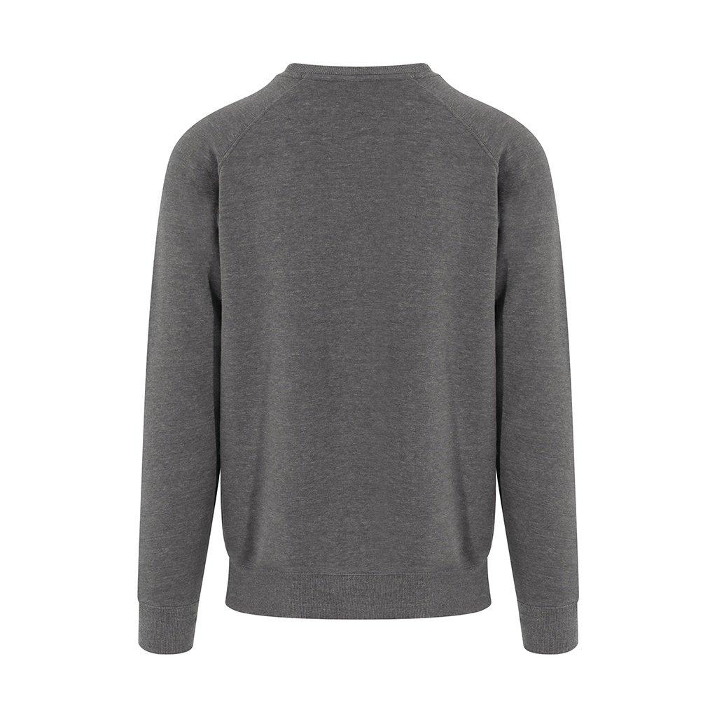 AWDis Graduate Pullover  