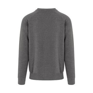 AWDis Graduate Pullover  