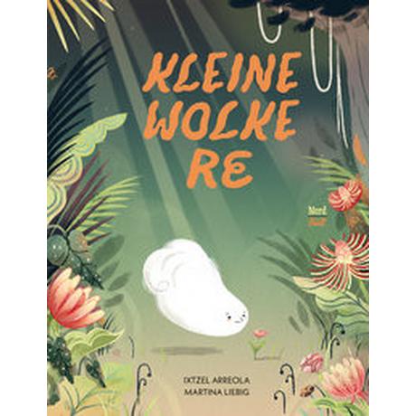 Kleine Wolke Re Arreola, Ixtzel; Liebig, Martina (Illustrationen); Hanekamp, Tino (Übersetzung) Gebundene Ausgabe 