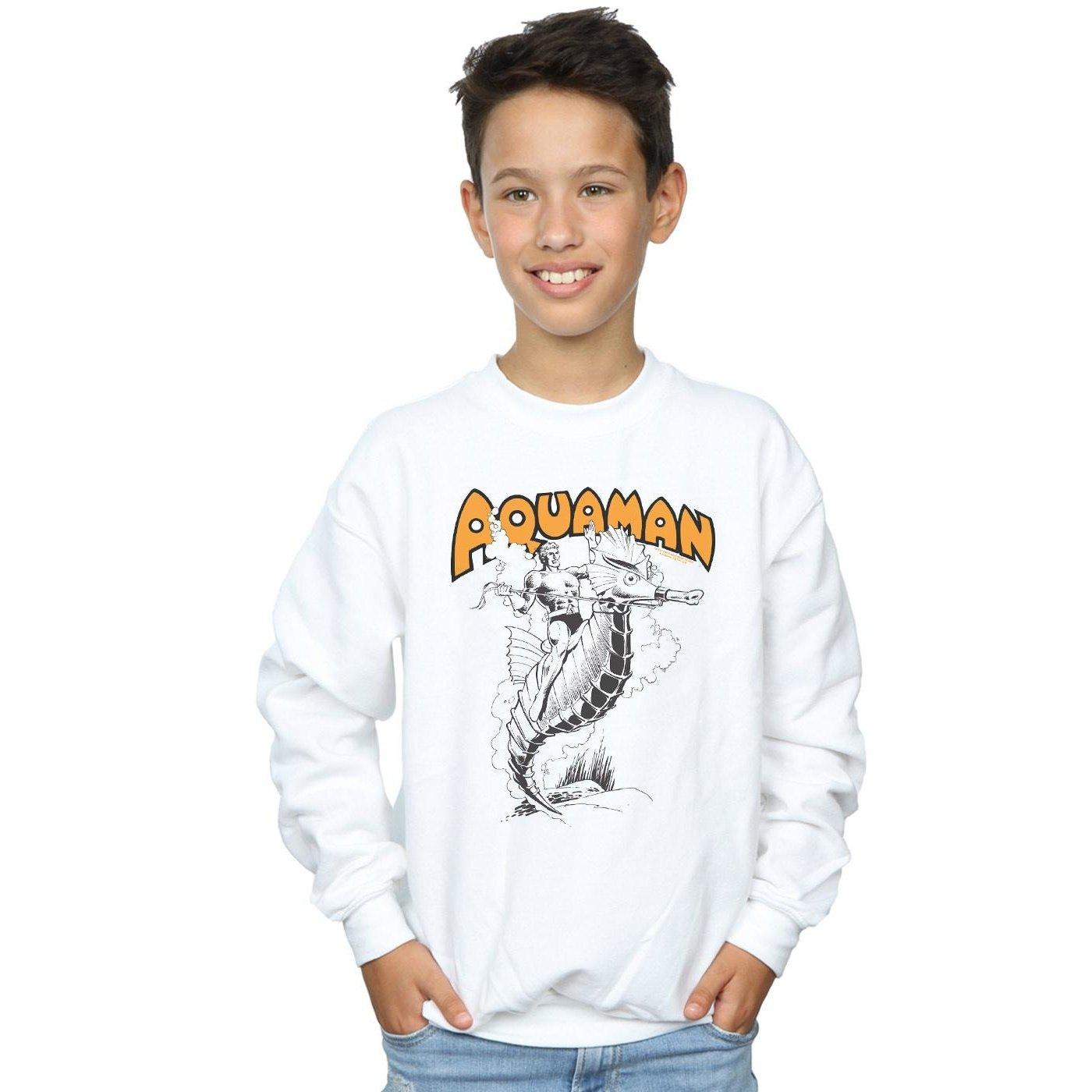 DC COMICS  Sweatshirt 