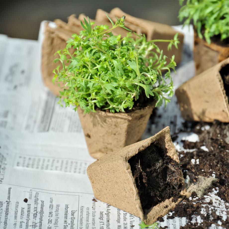 B2X Vasi per coltivazione, 200 pezzi, con etichetta  