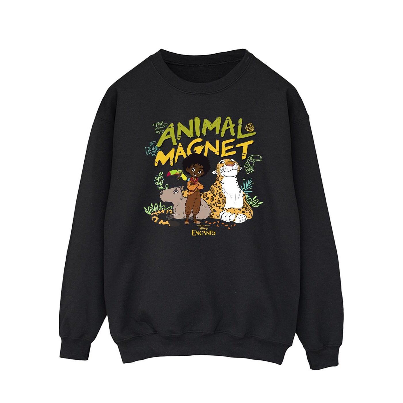 Disney  Encanto Sweatshirt 