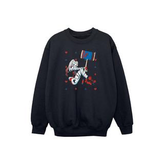 DC COMICS  Sweatshirt 