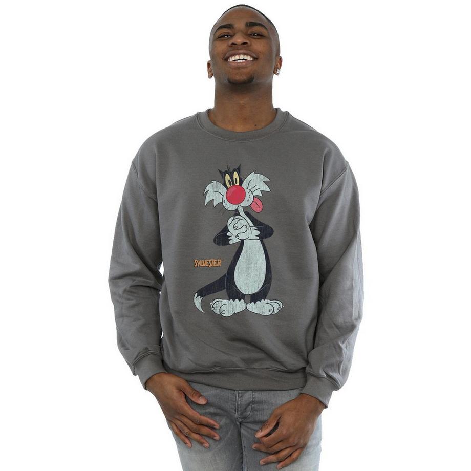 LOONEY TUNES Sylvester the Cat Sweatshirt Col Rond  