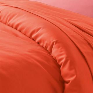 La Redoute Intérieurs Scenario Copripiumino tinta unita in policotone  