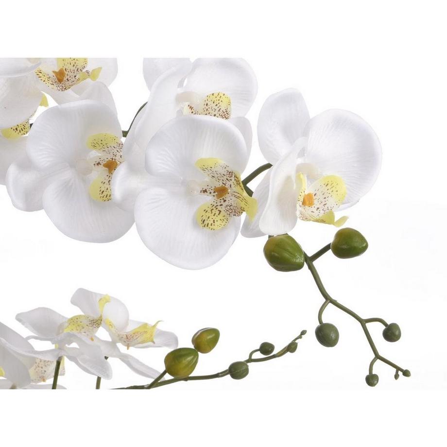 Vente-unique Plante artificielle orchidée avec pot en ciment - H.65 x L.54 cm-  Blanc -TARA  