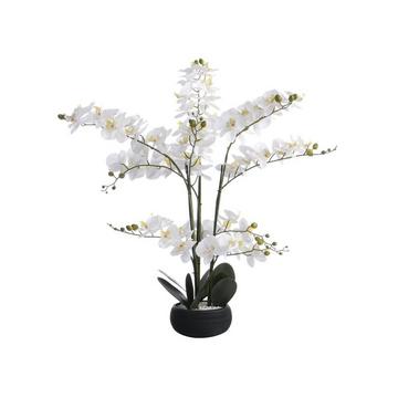 Plante artificielle orchidée avec pot en ciment - H.65 x L.54 cm-  Blanc -TARA