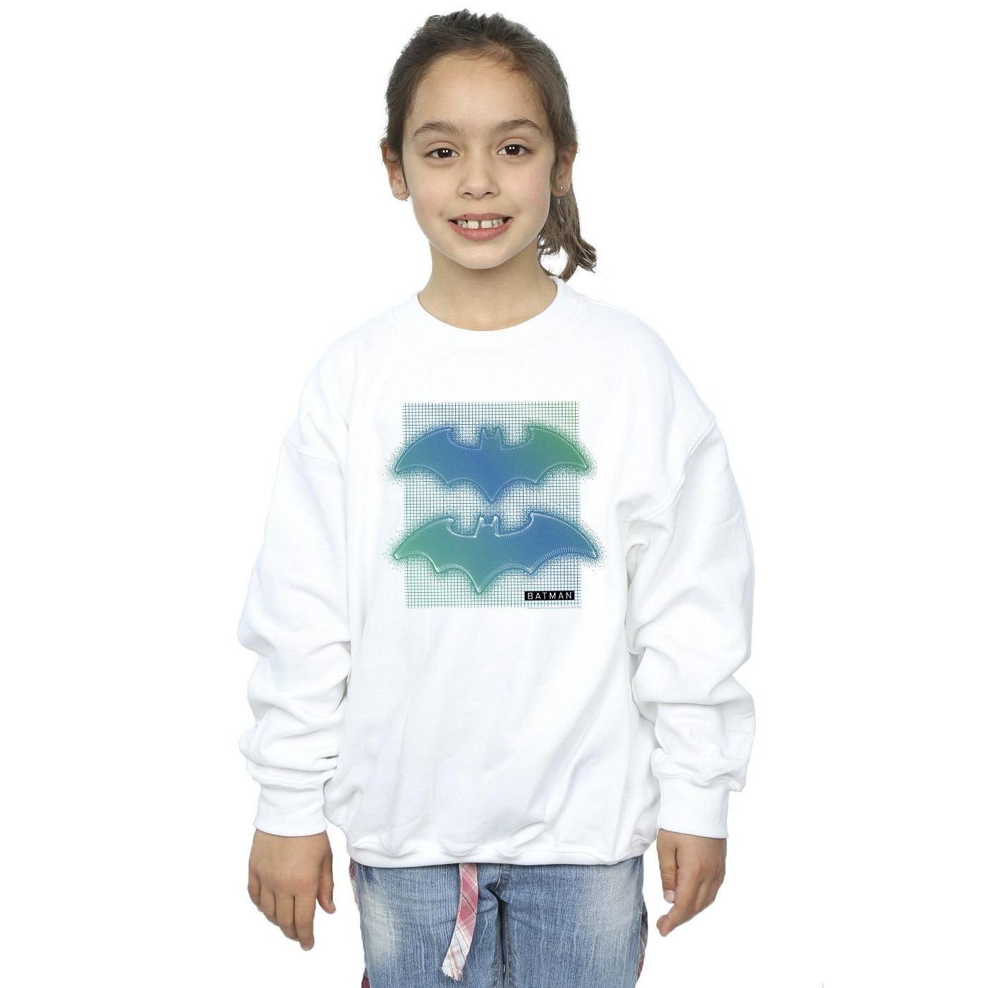 DC COMICS  Sweatshirt 