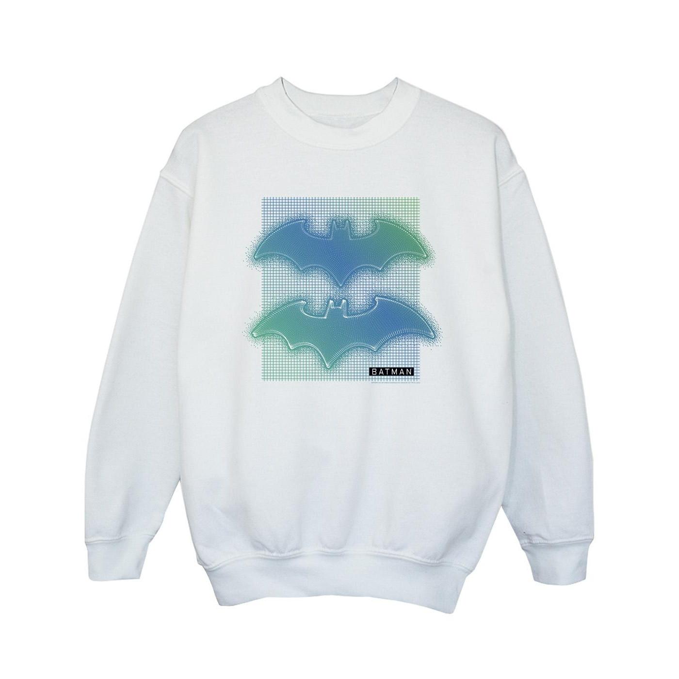 DC COMICS  Sweatshirt 