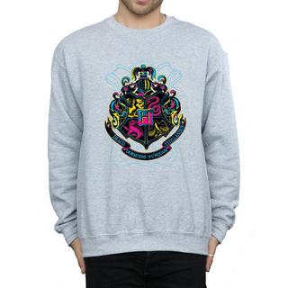 Harry Potter Hogwarts Wappen Sweatshirt  