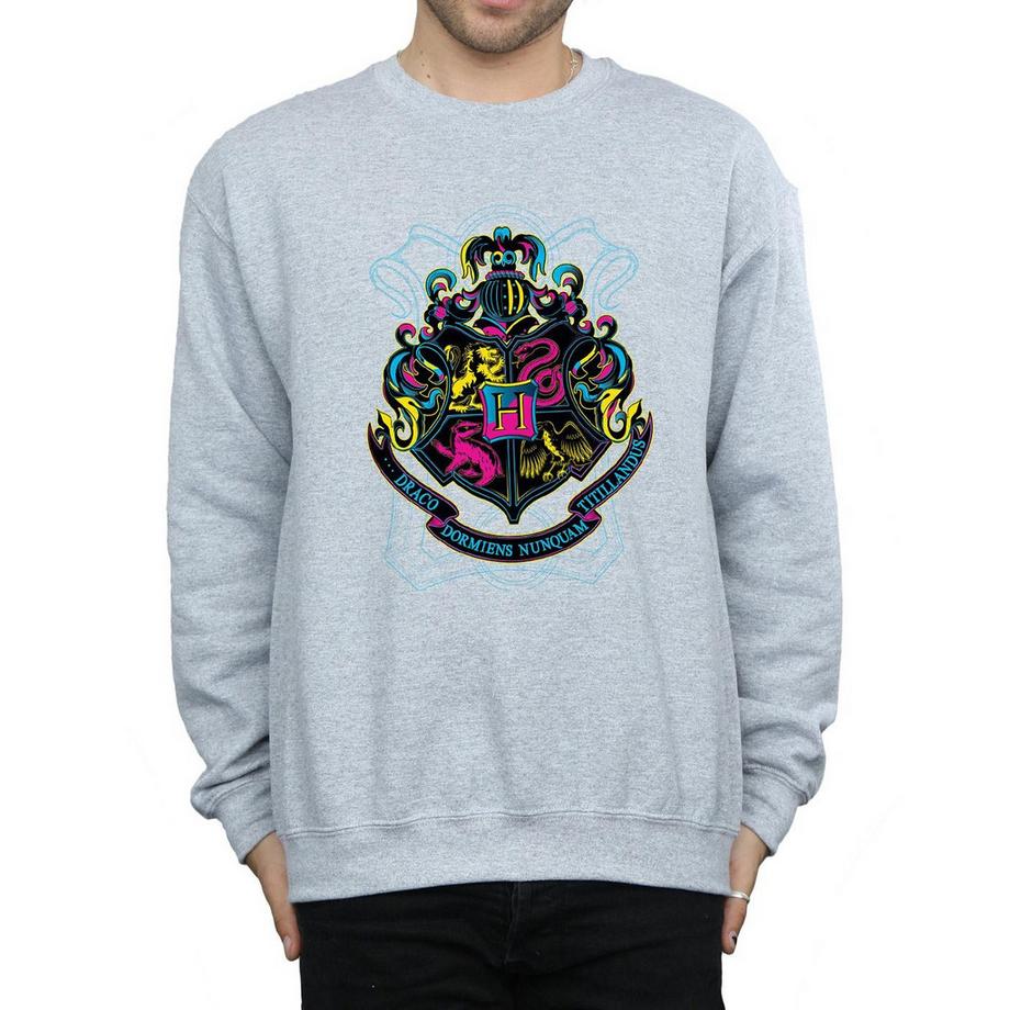 Harry Potter Hogwarts Wappen Sweatshirt  