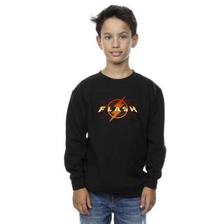 DC COMICS  Sweatshirt 