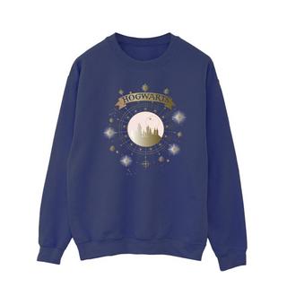 Harry Potter Hogwarts Rundhals Sweatshirt  