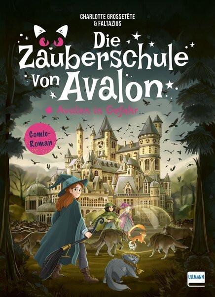 Die Zauberschule von Avalon - Avalon in Gefahr Grossetête, Charlotte; Faltazius (Illustrationen); Hackländer, Anja (Übersetzung) Copertina rigida 