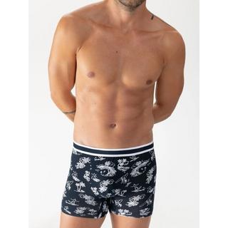mey Surf Beach Boxer  