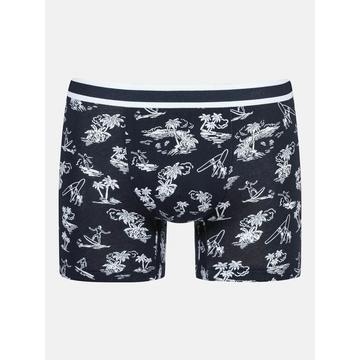 Surf Beach BoxerBrief