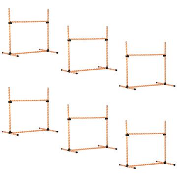 Ensemble d'agilité pour animaux de compagnie