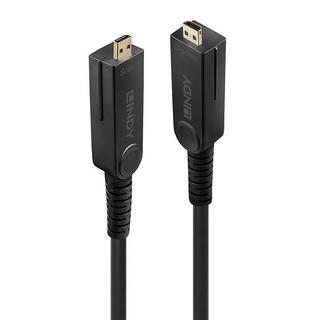 LINDY  Câble HDMI 10 m HDMI type D (microphone) or 