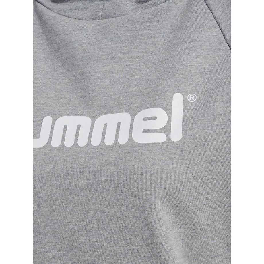 Hummel Go Logo Hoodie  