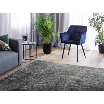 Tapis en Polyester Moderne DEMRE