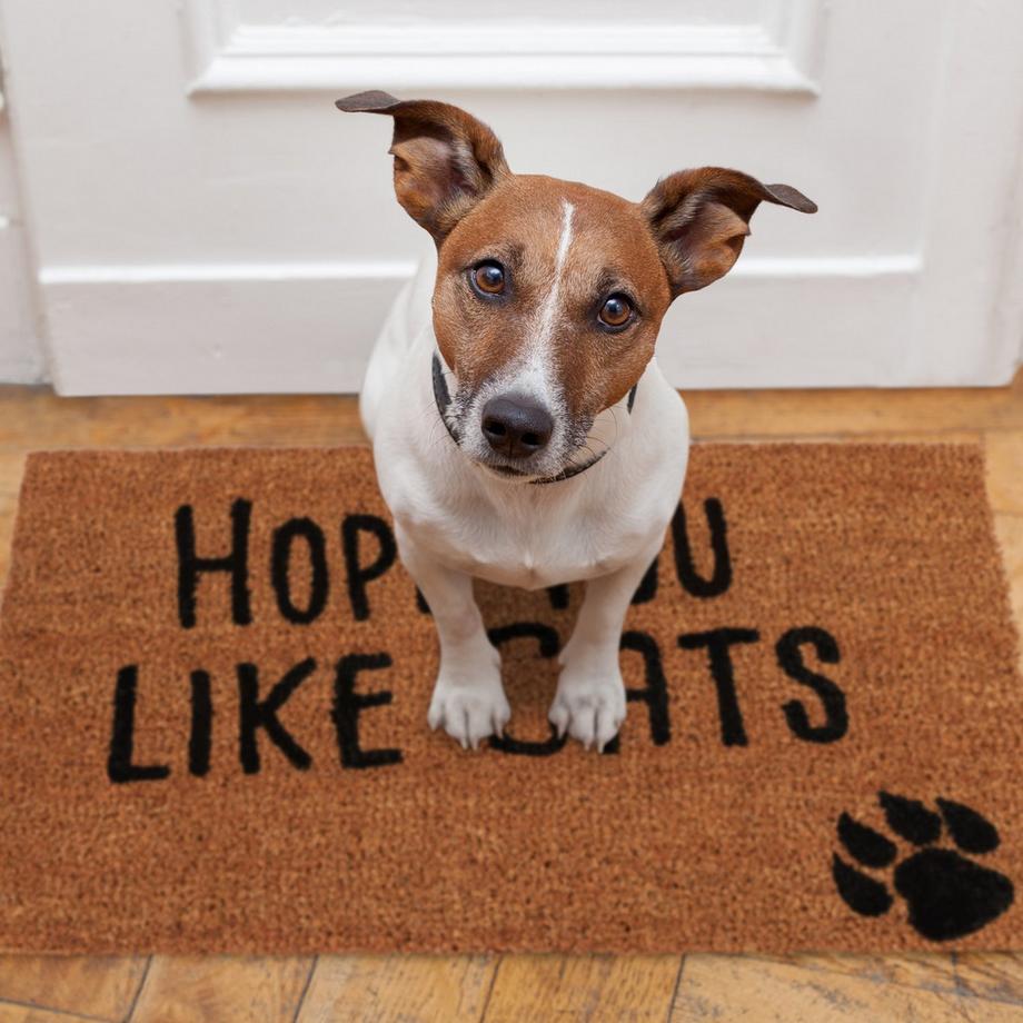 B2X Zerbino in fibra di cocco Spero che ti piaccia...  