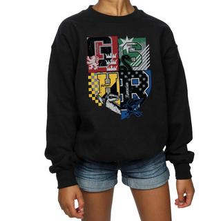 Harry Potter  Hogwarts Sweatshirt 