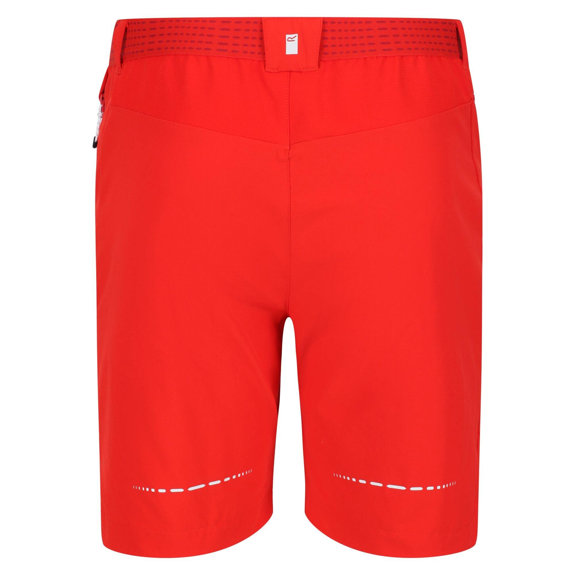 Regatta  Mountain II Shorts 