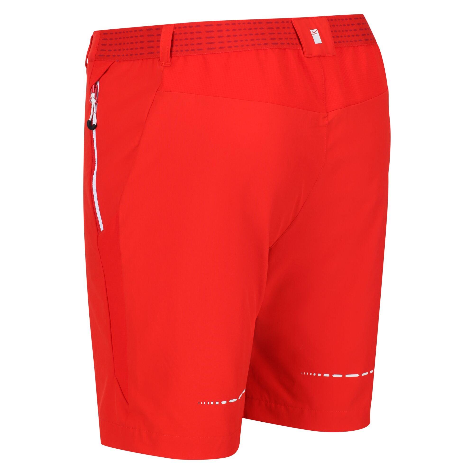 Regatta  Mountain II Shorts 
