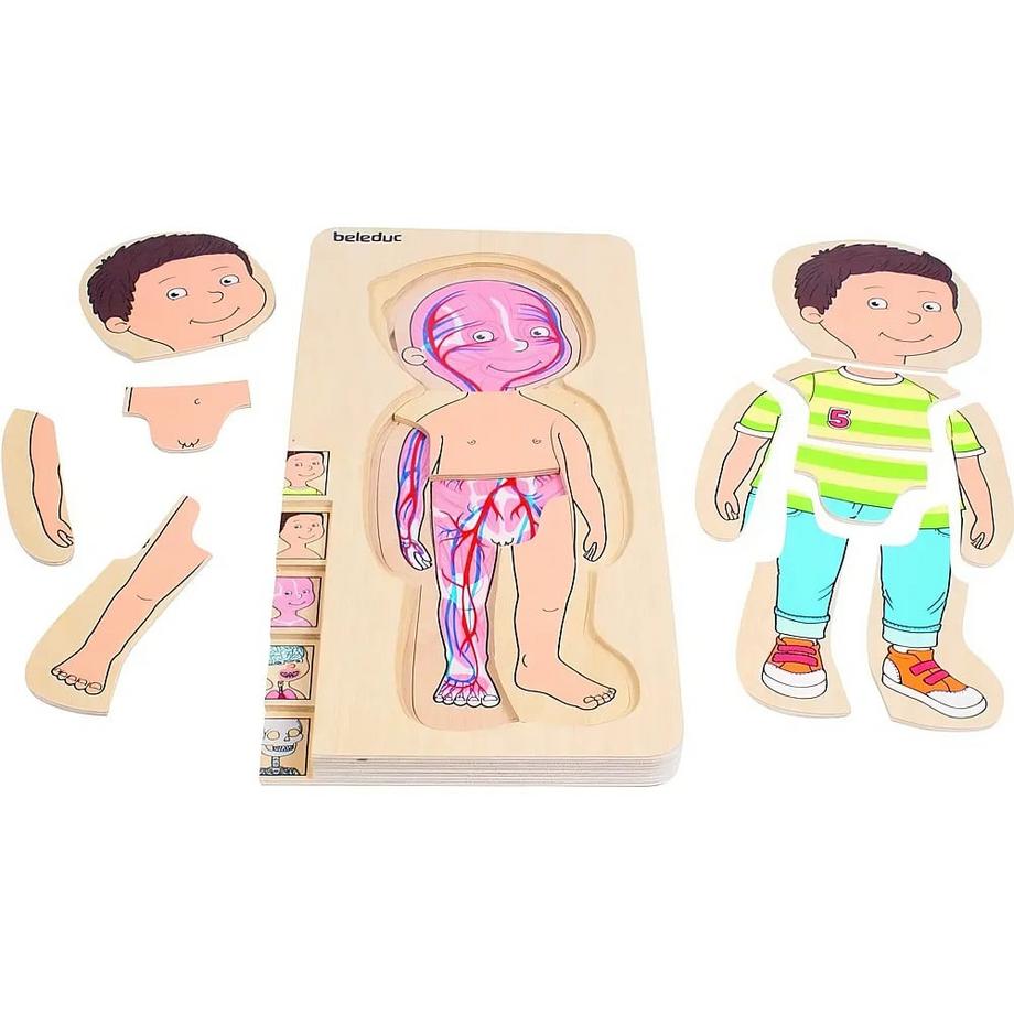 Beleduc  Puzzle Dein Körper - Junge (29Teile) 