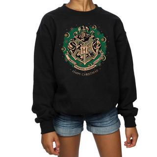 Harry Potter  Sweatshirt 