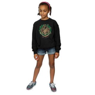 Harry Potter  Sweatshirt 