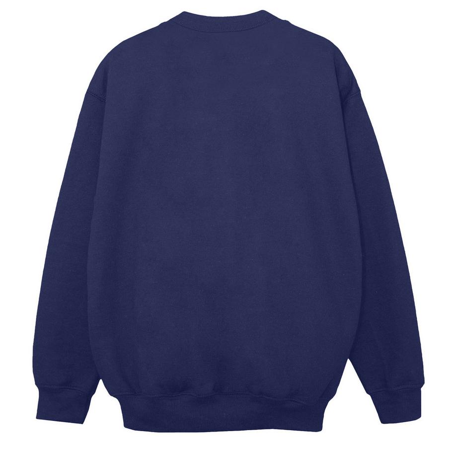 MARVEL Spidey And His Amazing Friends Sweatshirt  