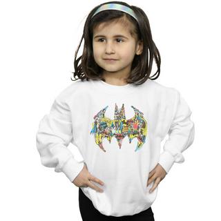 DC COMICS  Sweatshirt 