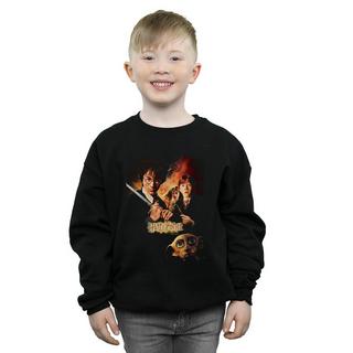 Harry Potter  Chamber Of Secrets Sweatshirt 