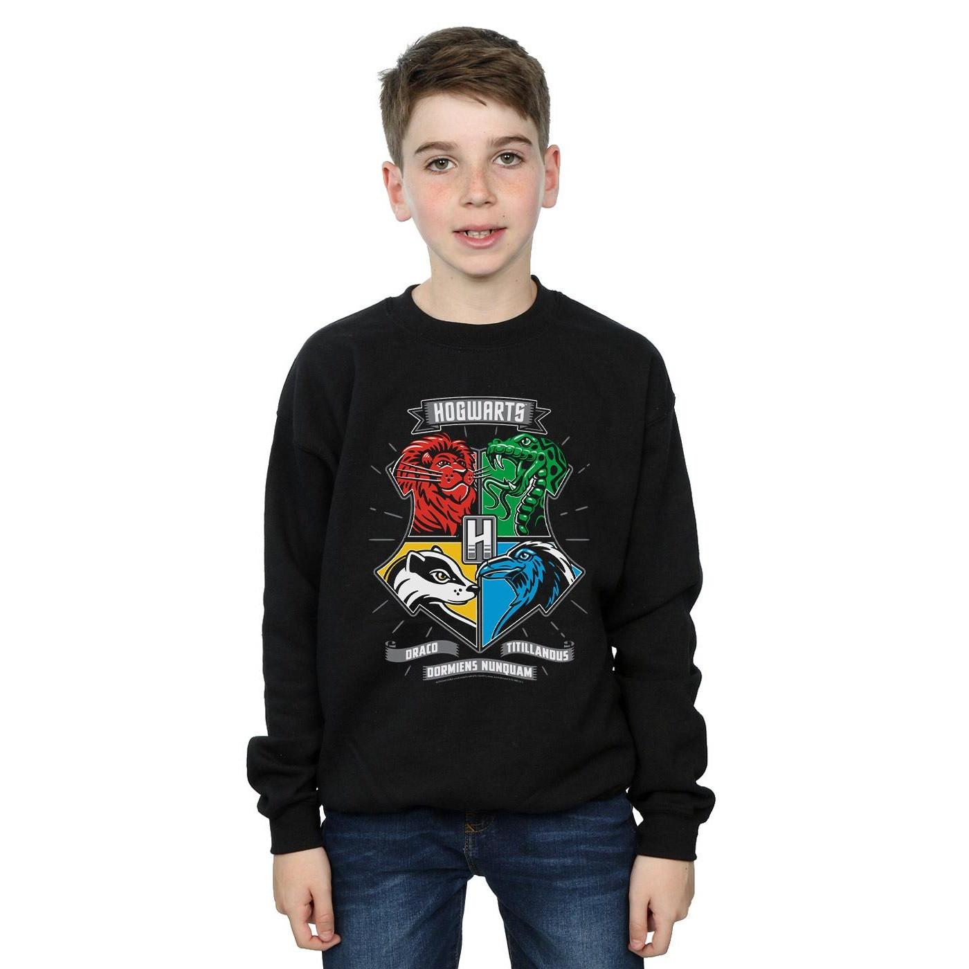 Harry Potter  Hogwarts Sweatshirt 