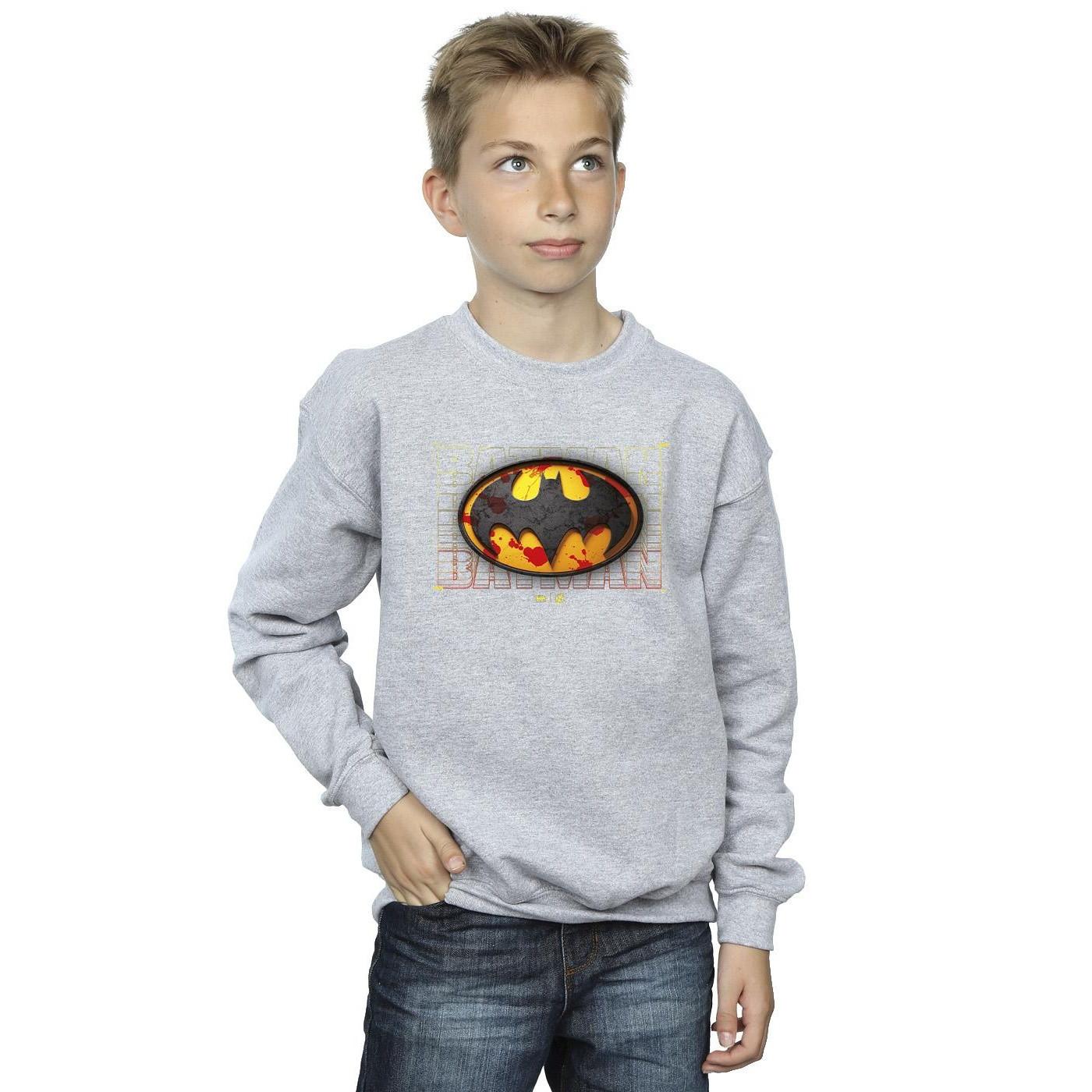 DC COMICS  Sweatshirt 