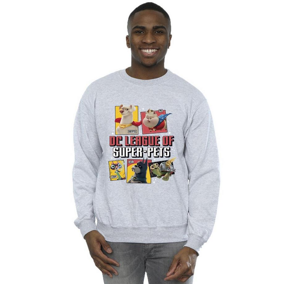 DC COMICS DC League Of Super-Pets Sweatshirt  