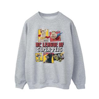 DC COMICS  DC League Of SuperPets Sweatshirt 