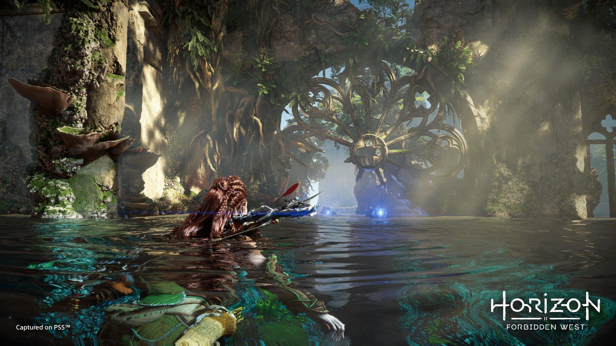 SONY  Horizon 2 Forbidden West - Special Edition (Free upgrade to PS5) 