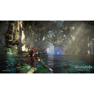 SONY  Horizon 2 Forbidden West - Special Edition (Free upgrade to PS5) 
