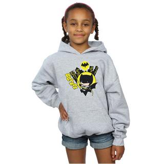 DC COMICS  Kapuzenpullover 