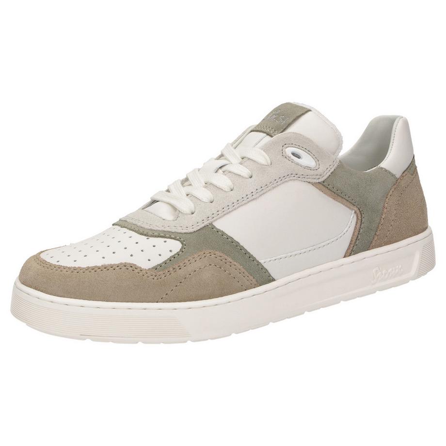 Sneaker Tedroso-704