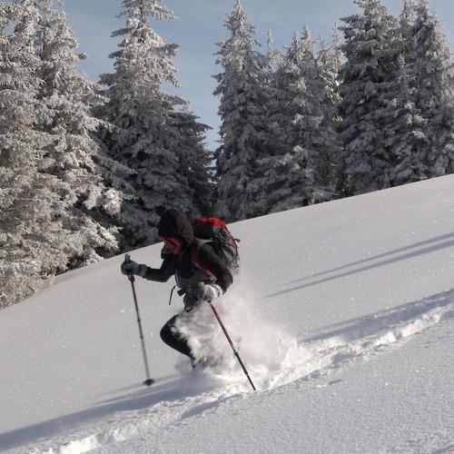 Geschenkidee  Schneeschuhtour und Skitour mit Fondueplausch (für 1 Person) 