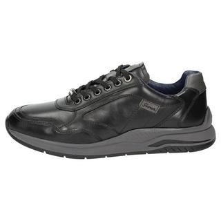 Sioux  Sneaker Turibio-711-J 